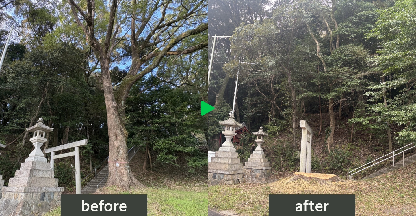 ビフォーアフター